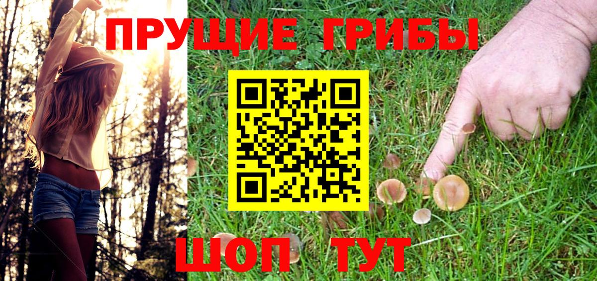 Галлюциногенные грибы Cubensis Канаш