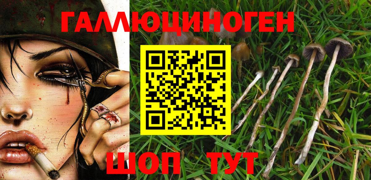 Канаш  Галлюциногенные грибы Magic Shrooms  где найти наркотики  Вход с VPN 